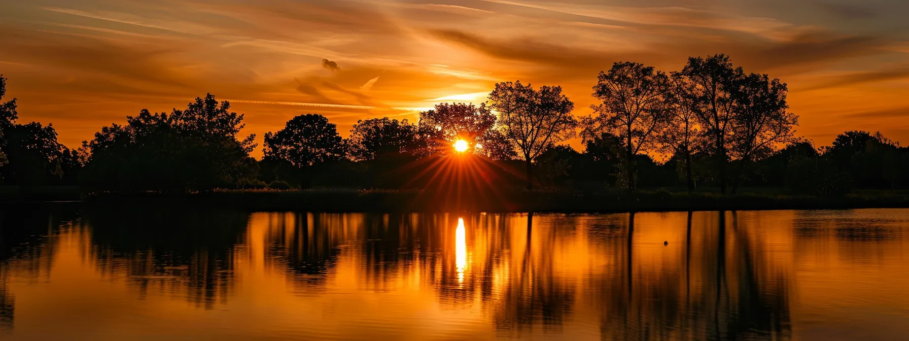 a vibrant sunset casts a golden hue over a tranquil lake, with silhouetted trees reflecting softly on the water's surface, evoking a sense of serenity and natural beauty.